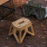 SiteStool Fold-Flat Utility Stool